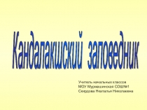 Презентация по окружающему миру Кандалакшский заповедник