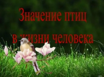 Значение птиц в жизни человека