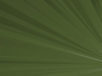 Презентация Реализация интеграции образовательных областей в рамках образовательной области Познание.