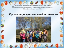 Двигательная активность детей дошкольного возраста