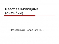 Презентация по биологии на тему  Класс земноводные (амфибии) (7 класс)