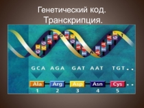 Генетический код