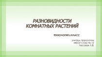 Презентация к уроку Комнатные растения в интерьере квартиры