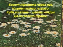 Цветы луговые для 4-5 лет