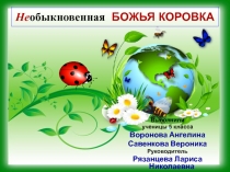 Исследовательская работа по биологии на тему Класс Насекомые (7 класс)