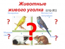 Презентация по Окружающему миру (2 класс) Животные живого уголка