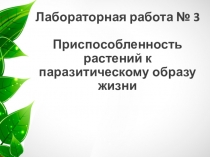 Презентация по биологии на тему Возникновение адаптаций в результате естественного отбора