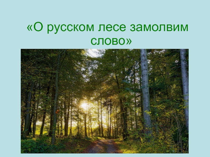 Люблю русский лес. Презентация русский лес. Мероприятие о русском лесе. Сообщение о русском лесе. Проект русский лес.