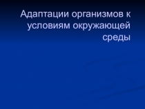 Презентация Адаптации броненосца 11 класс