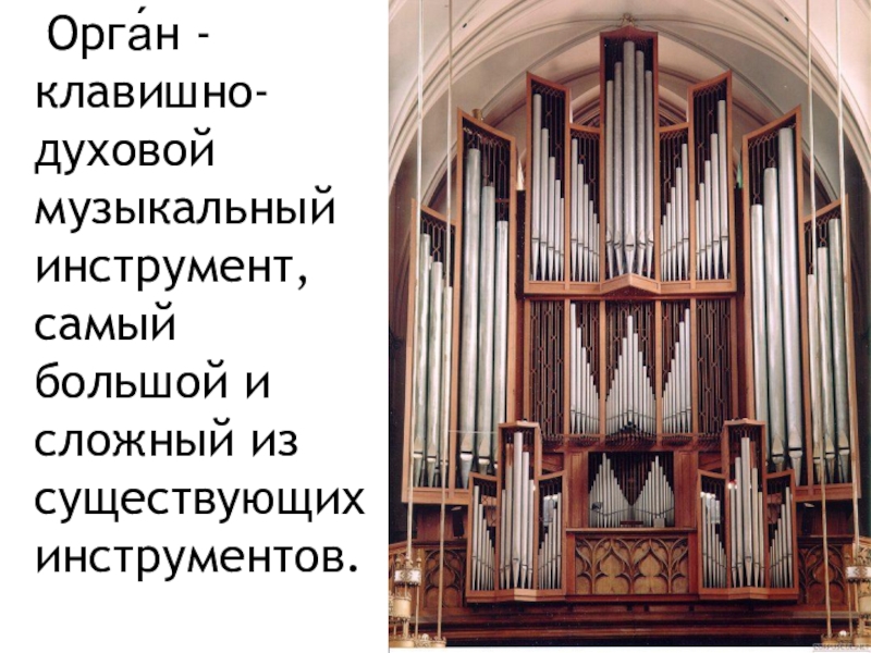 Орган 5 мая. Органный клавишный духовой музыкальный инструмент. Орган клавишный духовой музыкальный инструмент. Клавишно-духовой музыкальный. Самый большой клавишный духовой инструмент.