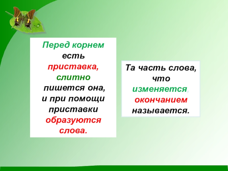 Приставка ест корень. Перед корнем есть приставка. Перед корнем. Часть слова перед корнем. Перед корнем есть приставка слитно пишется.