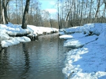 Презентация к празднику 8 Марта