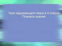 Русское государство при первых Романовых