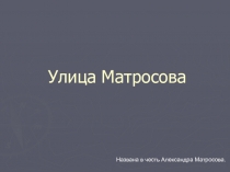 Презентация по истории на тему Улица Матросова(7 класс)