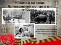 Презентация Животные на войне: Ленинградский Зоопарк в годы Блокады