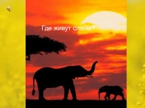 Презентация по окружающему миру на тему Где живут слоны