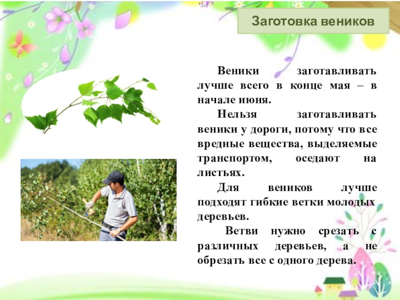 Веник в старину. Сочинение про веник. Сочинение про веник по русскому языку. Сочинение описание предмета 5. Сочинение описание предмета 5.