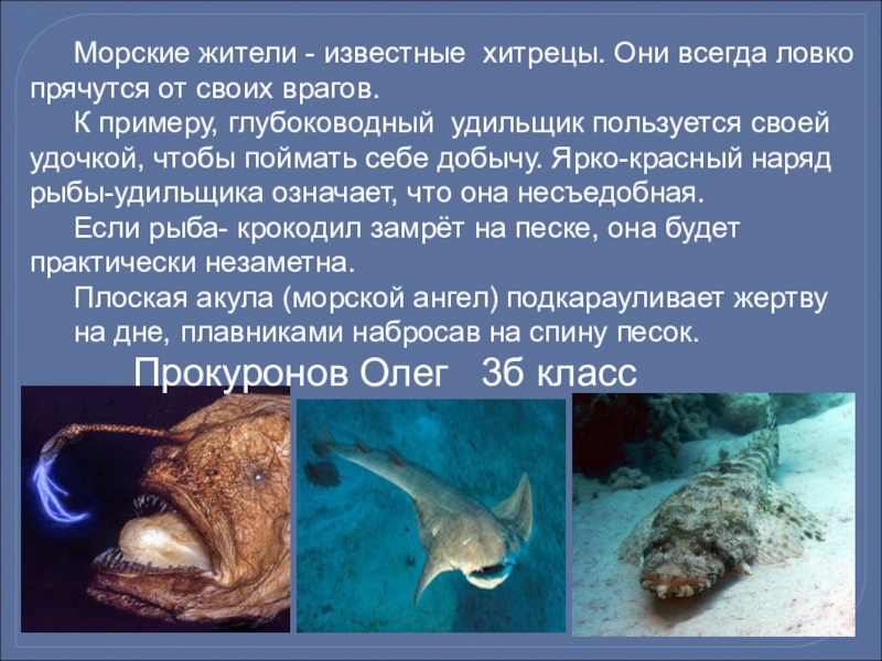 План сообщения о глубоководных морских обитателях 5 класс