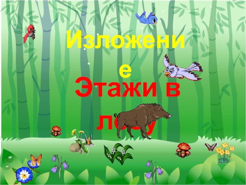 Презентация Презентация к уроку русского языка 3 класс Изложение Этажи в лесу