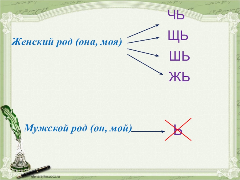 Буква ь мужской род. Существительное с жь на конце. Существительное с окончанием жь. Слова на жь. Существительное заканчивающееся на жь.