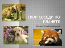 Твои соседи на планете. Интерактивная игра