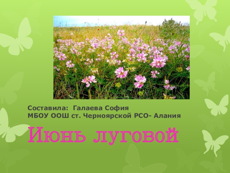 Презентация Цветущий июнь в окрестностях станицы Черноярской