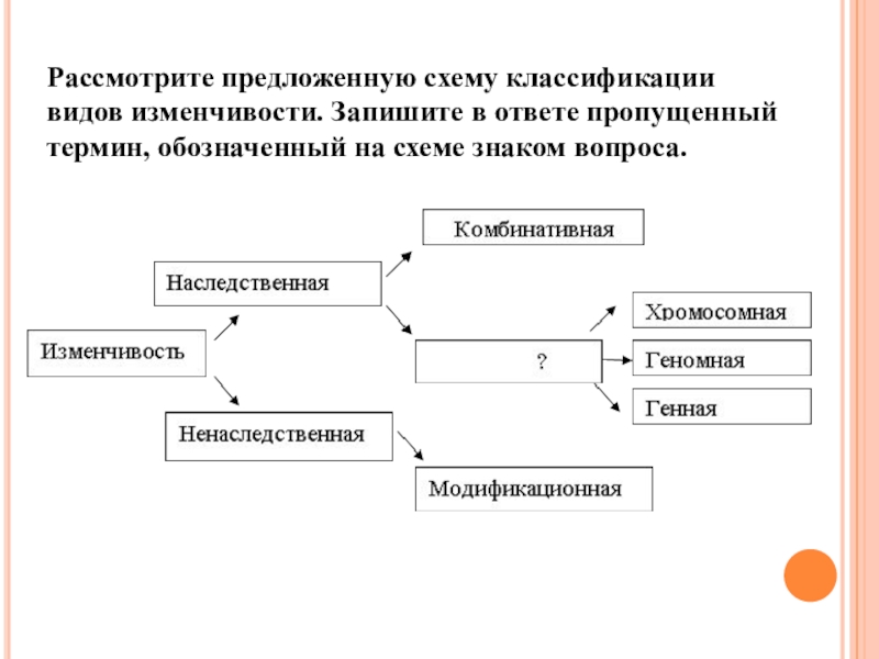 Блок схема изменчивость