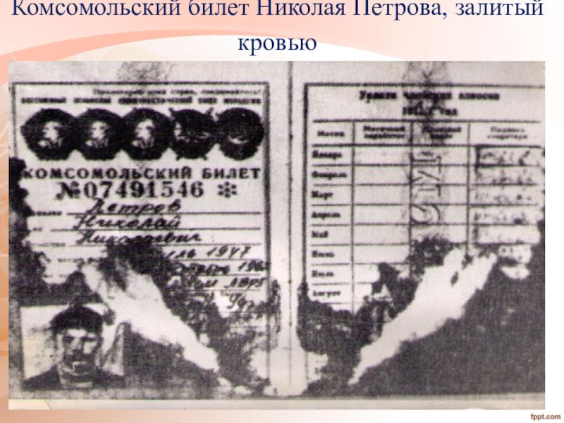 Комсомольский билет Николая Петрова, залитый кровью
