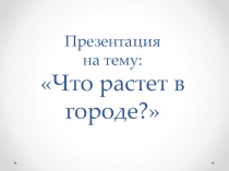 Презентация к уроку окружающего мира на тему Что растет в городе.