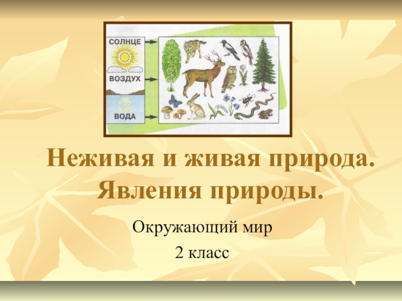 Явления живой и неживой природы. Явления живой природы. Явления живой природы и неживой природы. Явления живой и неживой. Мир природы 2 класс.