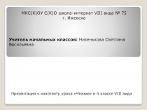 Презентация к уроку чтения Гаечки в коррекционной школе VIII вида