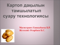 Картоп дақылын тамшылатып суғару технологиясы