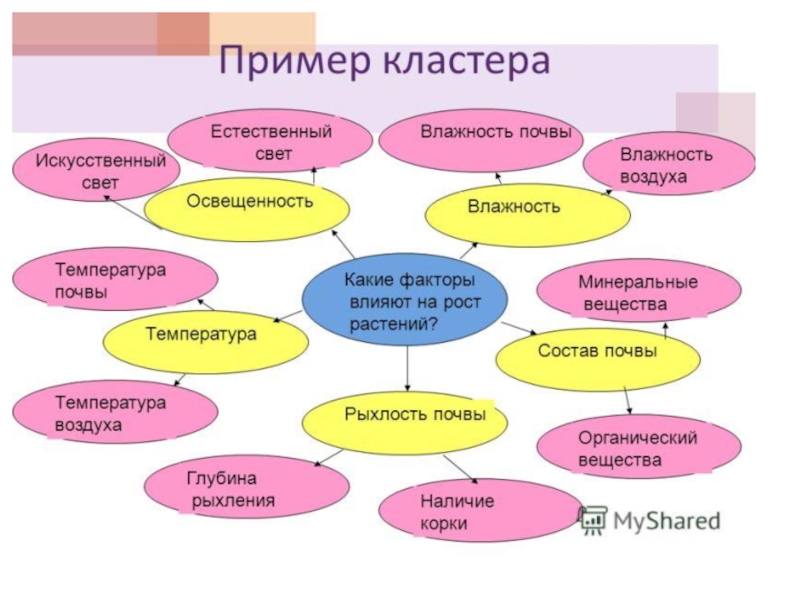 Кластер пример. Образец составления кластера. Метод составление кластера. Метод кластер в школе.