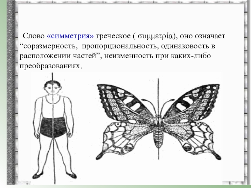 На каком рисунке изображен признак. Симметрия это соразмерность. Симметричная фигура человека. Загадка про ось симметрии. Симметрия на греческом.