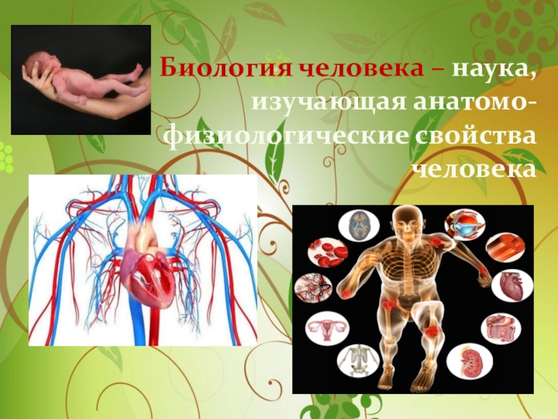 Наука о человечестве. Человек биология. Биология тема человек. Науки изучающие человека биология. Человек биология для презентации.