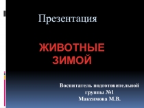 Животные зимой