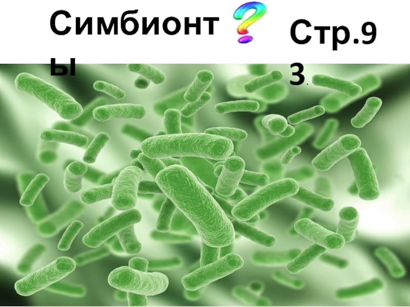 Бактерии симбионты картинки