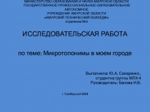 Презентация Микротопонимы в моем родном городе (11 класс)