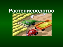 Презентация по окружающему миру на тему Растениеводство