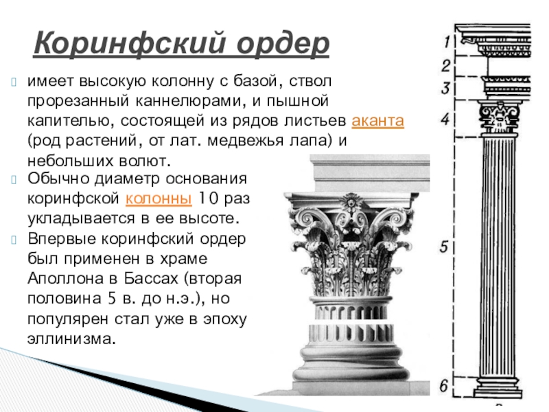 Греческие основы