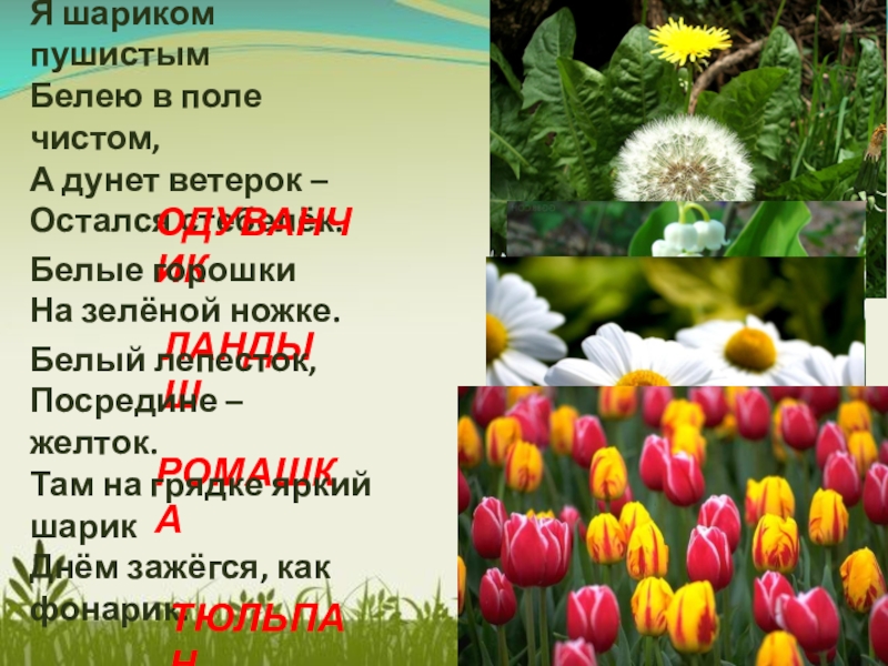 Май весну завершает лето начинает 1 класс школа 21 века конспект и презентация