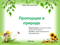 Презентация по математике в 6 классе на тему Пропорции в природе