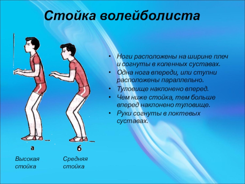 Какой должна быть исходная стойка игрока. Стойка в волейболе. Стойка волейболиста. Стойки и перемещения в волейболе. Низкая стойка волейболиста.