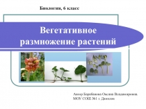 Вегетативное размножение (6 класс)