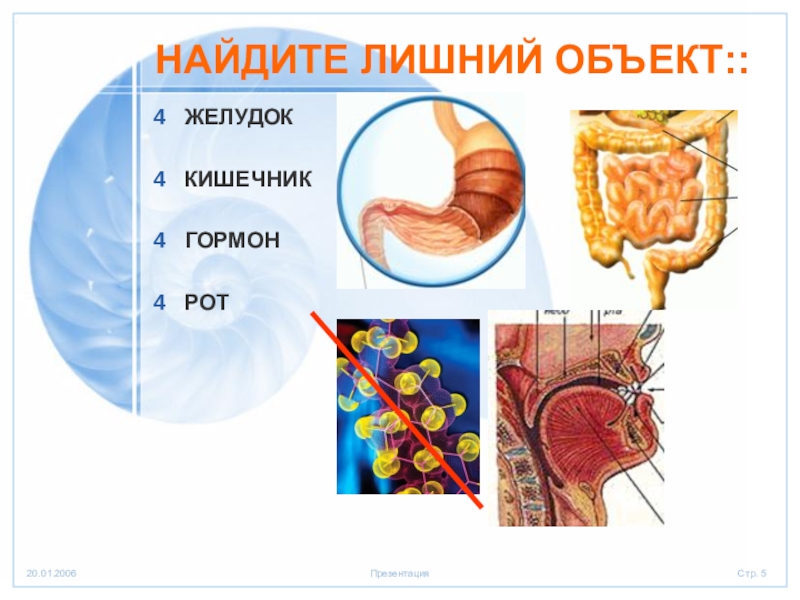 Организм единое целое презентация 6 класс пасечник