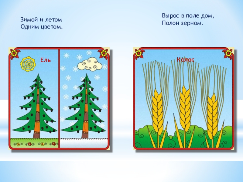 Зимой цветом 1 цветом. Зимой и летом одним цветом. Зимой и летом одним цветом загадка. Зимой и летом одним цветом рисунок. Загадка зимой и летом 1 цветом.