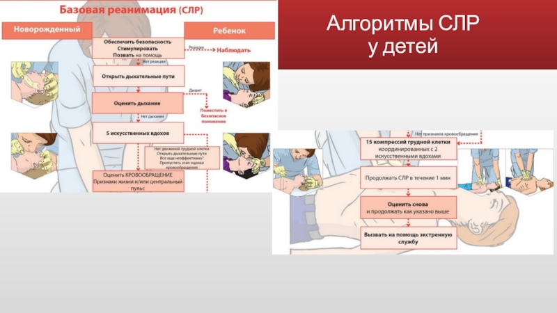 Этапы реанимации презентация