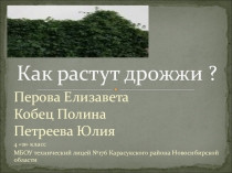 Презентация исследовательской работы Как растут дрожжи ? 4 класс