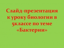 Презентация по биологии на тему: Бактерии