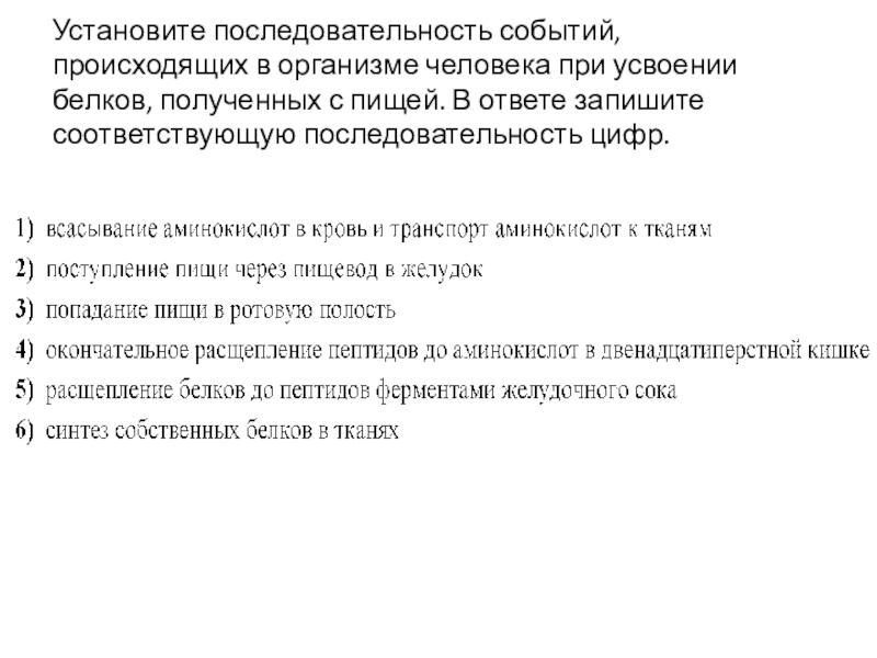 Установить последовательность процесса белка. Установите последовательность событий. Установите последовательность процессов происходящих. Последовательность при усвоении белков полученных с пищей. Установите последовательность событий при синтезе белка.